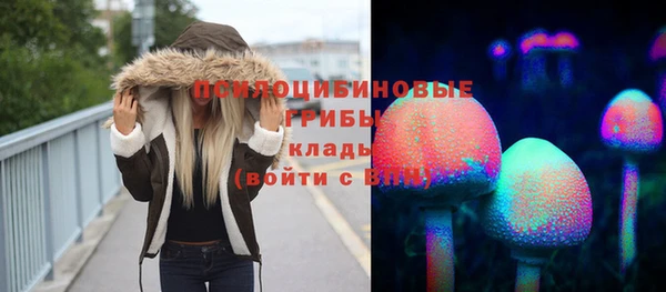 хмурый Магас