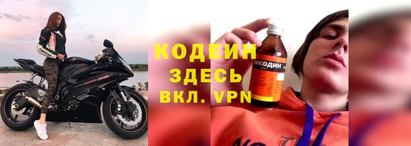 хмурый Магас