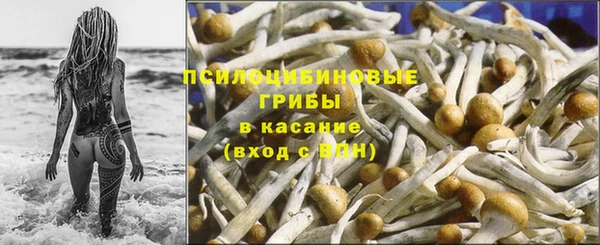 эйфоретик Липки