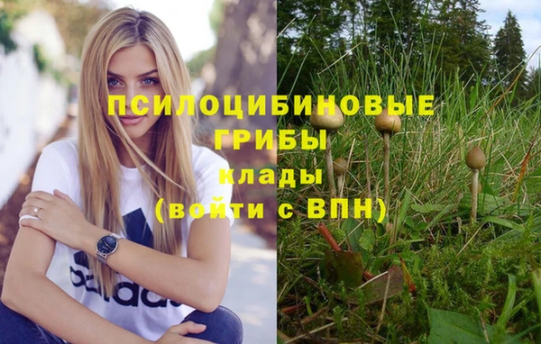 скорость Лихославль