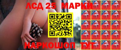 PSILOCYBIN Ирбит