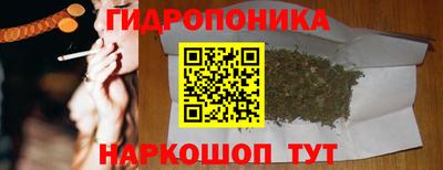 PSILOCYBIN Ирбит