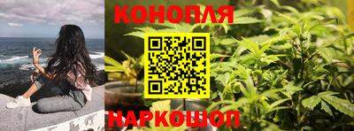 PSILOCYBIN Ирбит