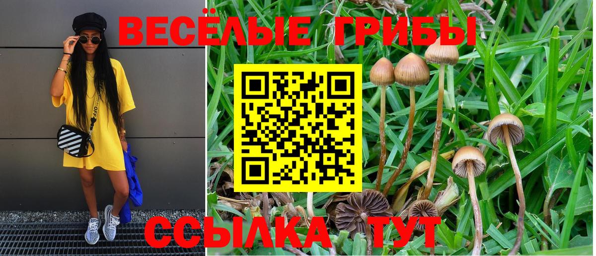 Псилоцибиновые грибы Psilocybine cubensis  купить наркоту  Чебоксары  Вход с VPN 
