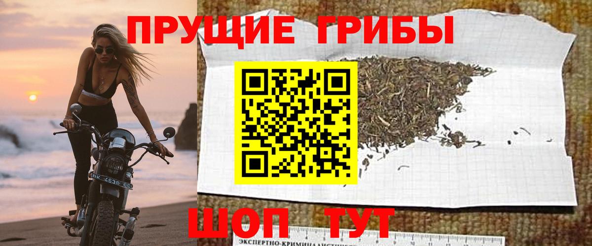 Псилоцибиновые грибы ЛСД Чебоксары