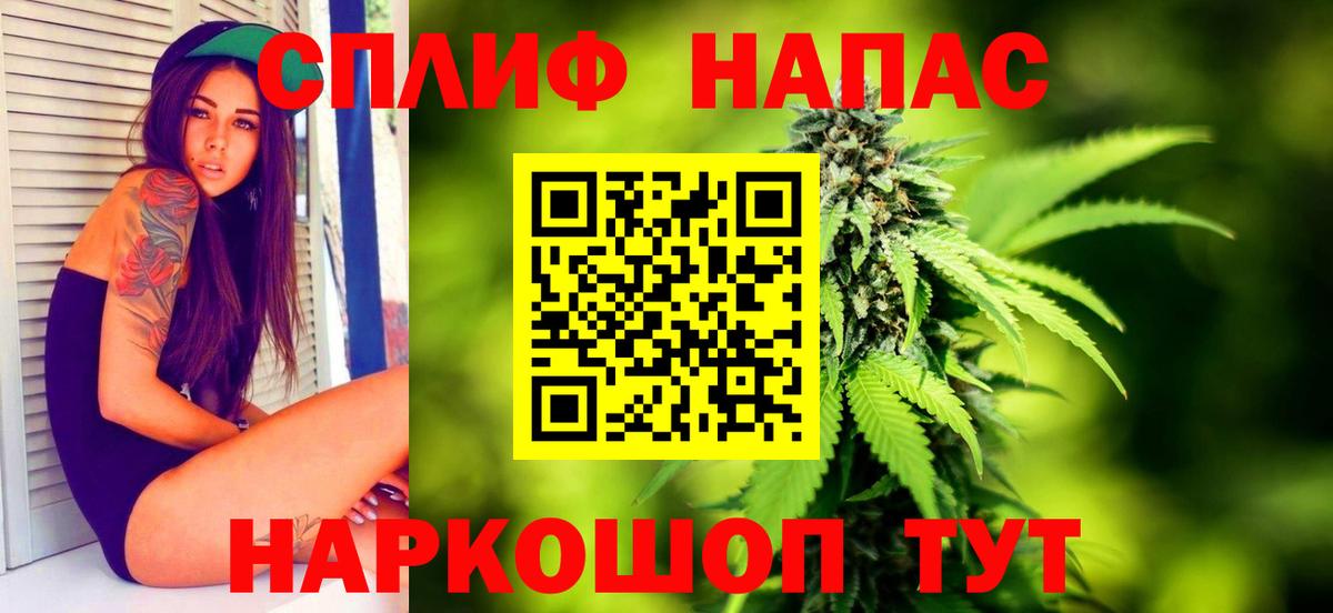 Канабис сатива Чебоксары